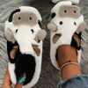 Pantuflas cowzy